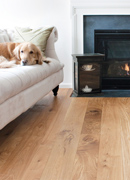 Character White Oak Flooring - Living Room