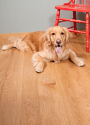 Select White Oak Flooring - Living Room